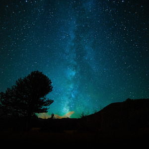 高露三级片午夜
